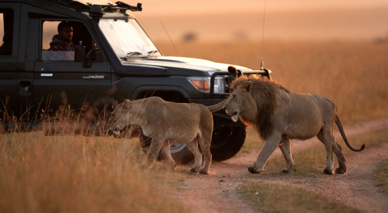 The Ultimate Kenya Safari Travel Guide